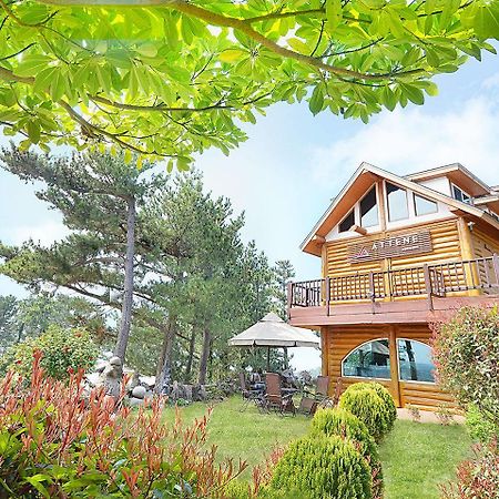 Attene Pension Jeju Exterior photo